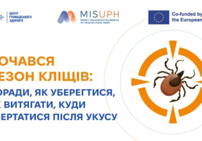 Почався сезон кліщів: поради, як уберегтися, як витягати, куди звертатися після укусу